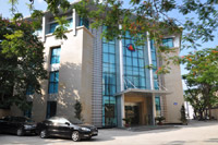Đá quý Việt Nhật